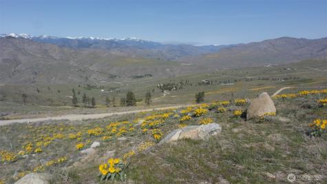31 Cowboy Road Methow WA 98834