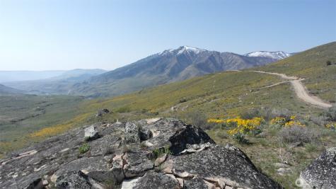 31 Cowboy Road Methow WA 98834