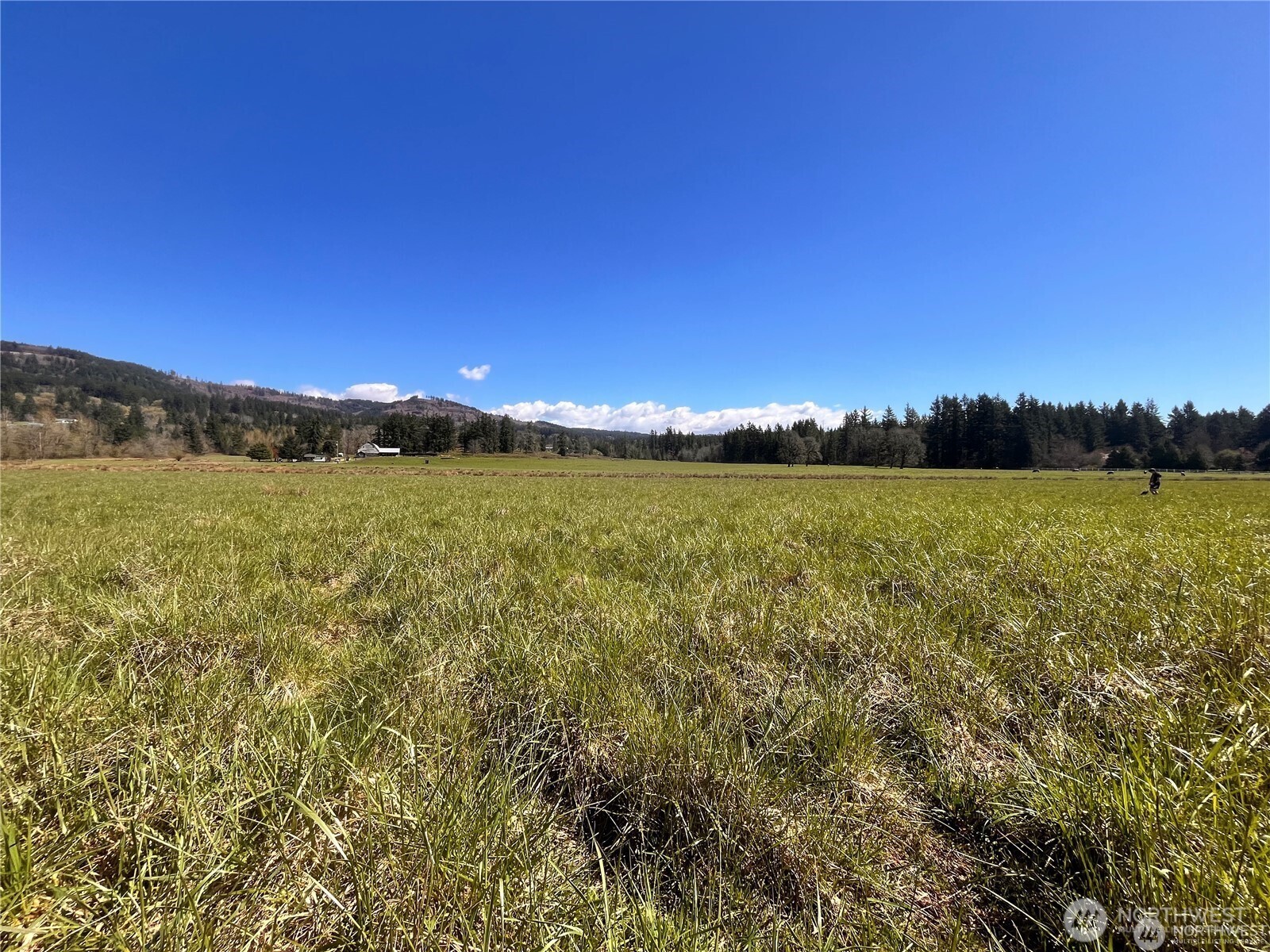 0 NE 212th Avenue Battle Ground WA 98604