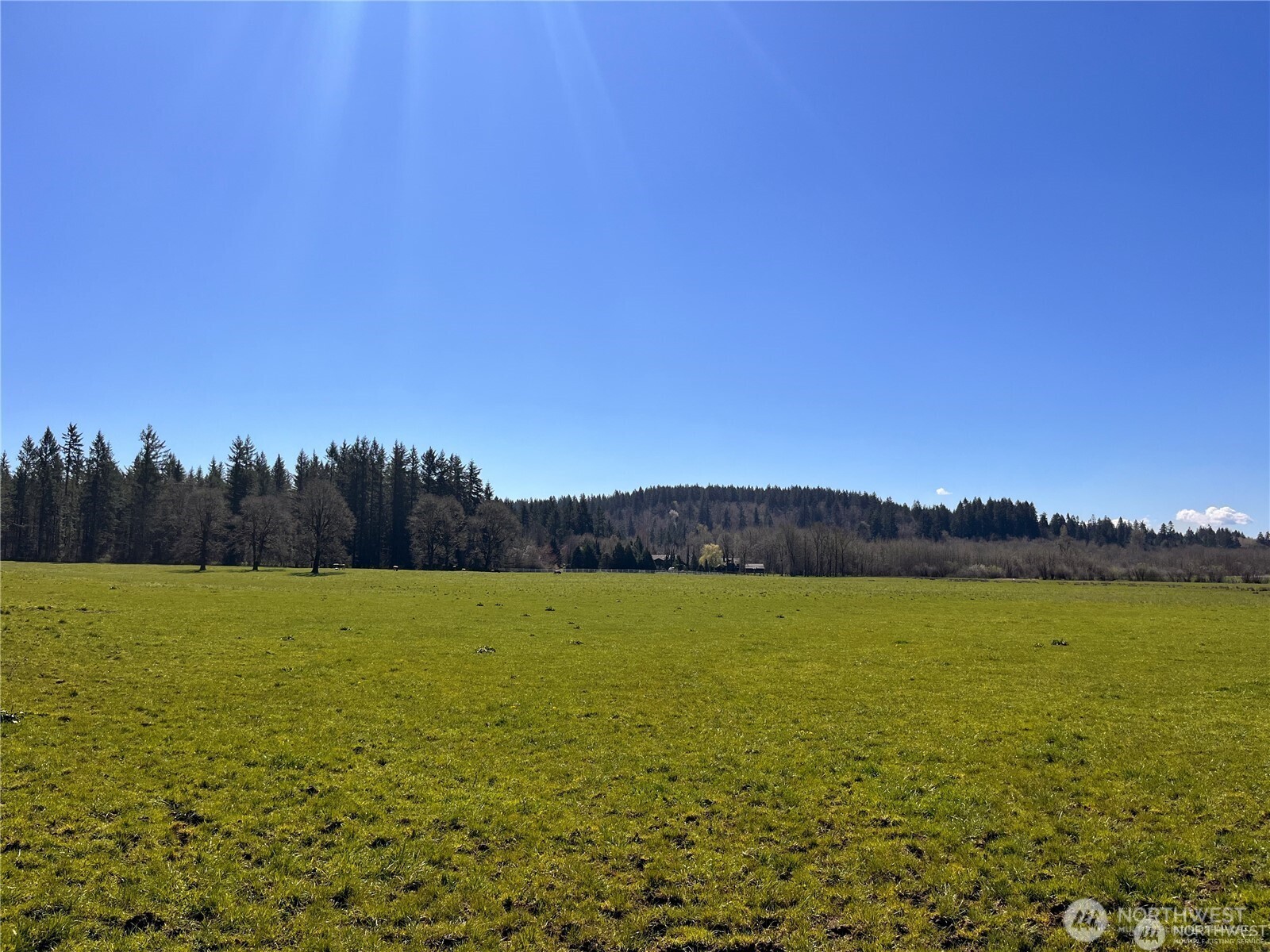 0 NE 212th Avenue Battle Ground WA 98604