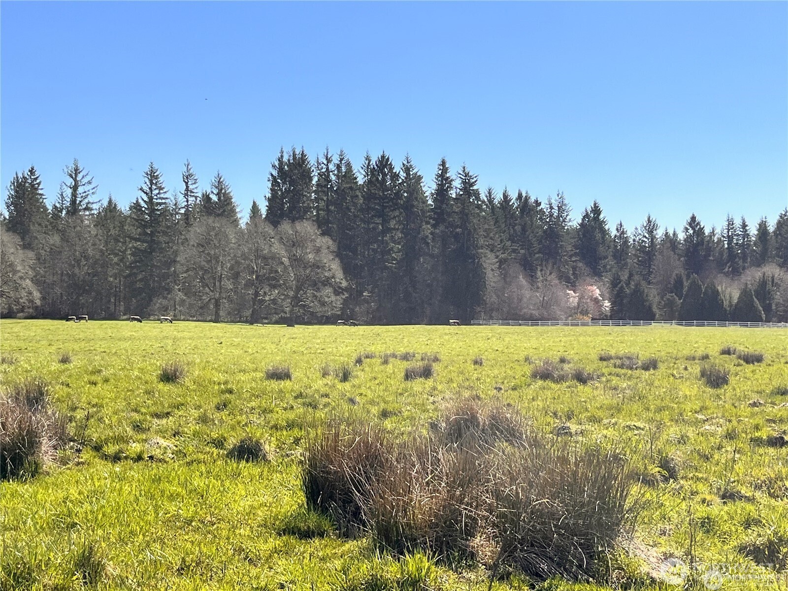 0 NE 212th Avenue Battle Ground WA 98604
