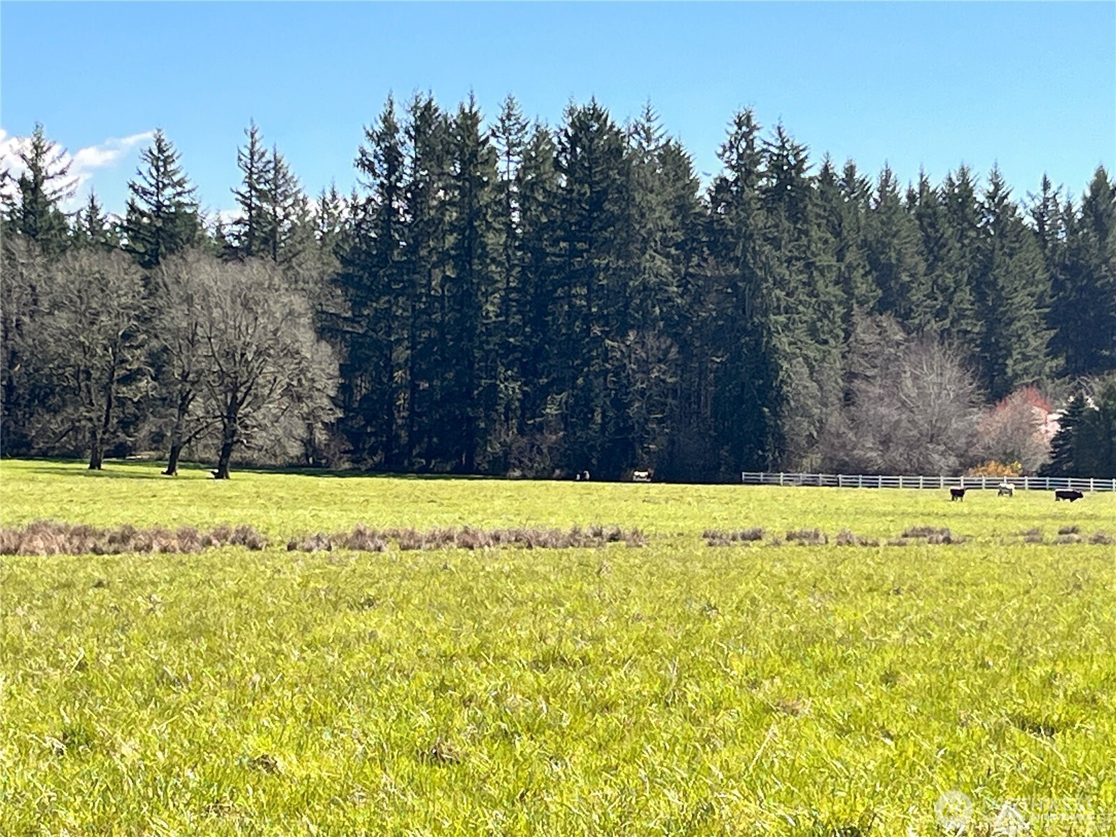 0 NE 212th Avenue Battle Ground WA 98604