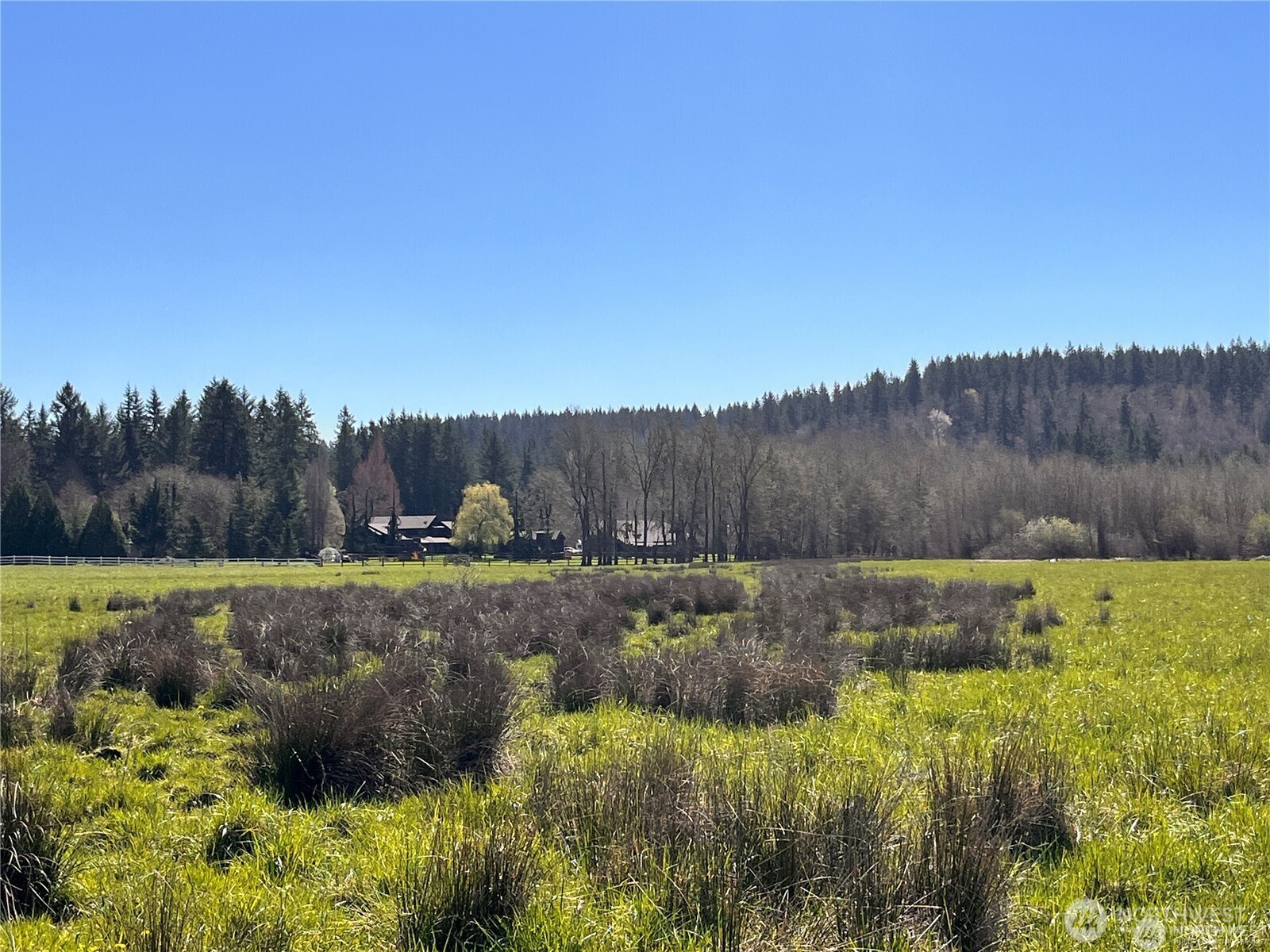 0 NE 212th Avenue Battle Ground WA 98604
