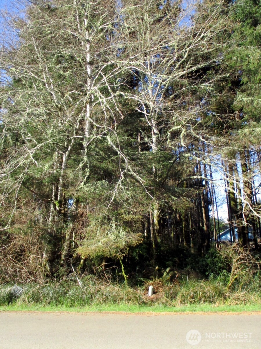 111 Olympic View Avenue NE Ocean Shores WA 98569