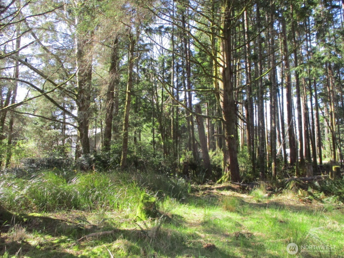 111 Olympic View Avenue NE Ocean Shores WA 98569