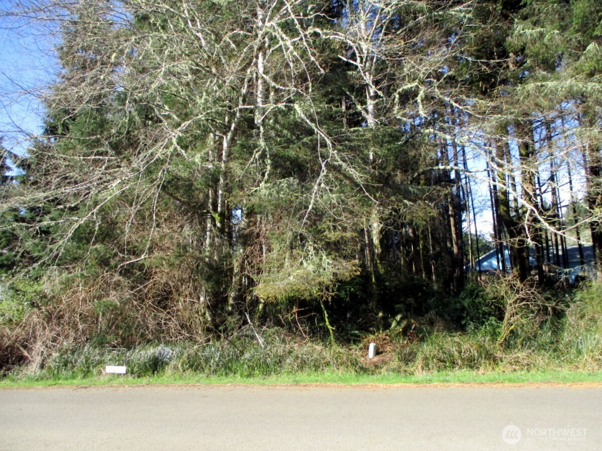 111 Olympic View Avenue NE Ocean Shores WA 98569