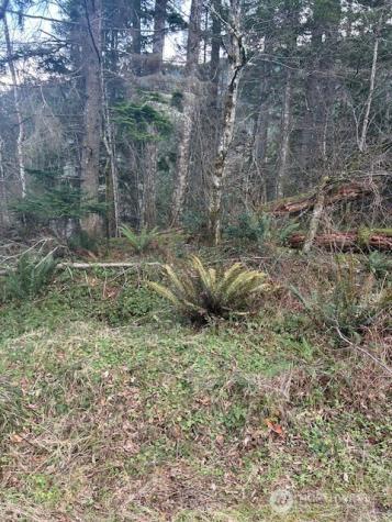 0 SE 166th Street North Bend WA 98045