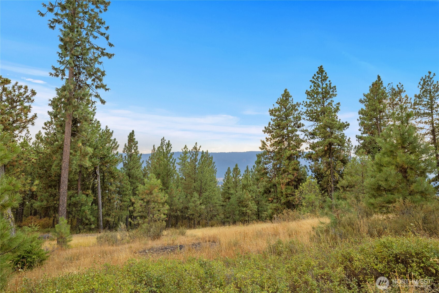 0 Owl Ridge Drive Cle Elum WA 98922