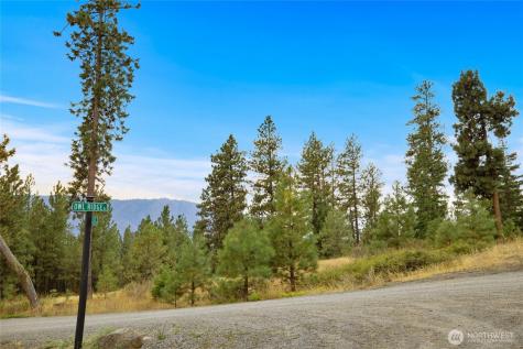 0 Owl Ridge Drive Cle Elum WA 98922