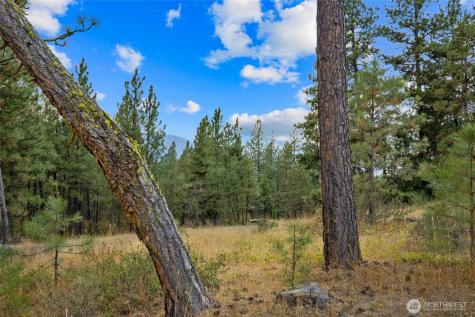 0 Owl Ridge Drive Cle Elum WA 98922