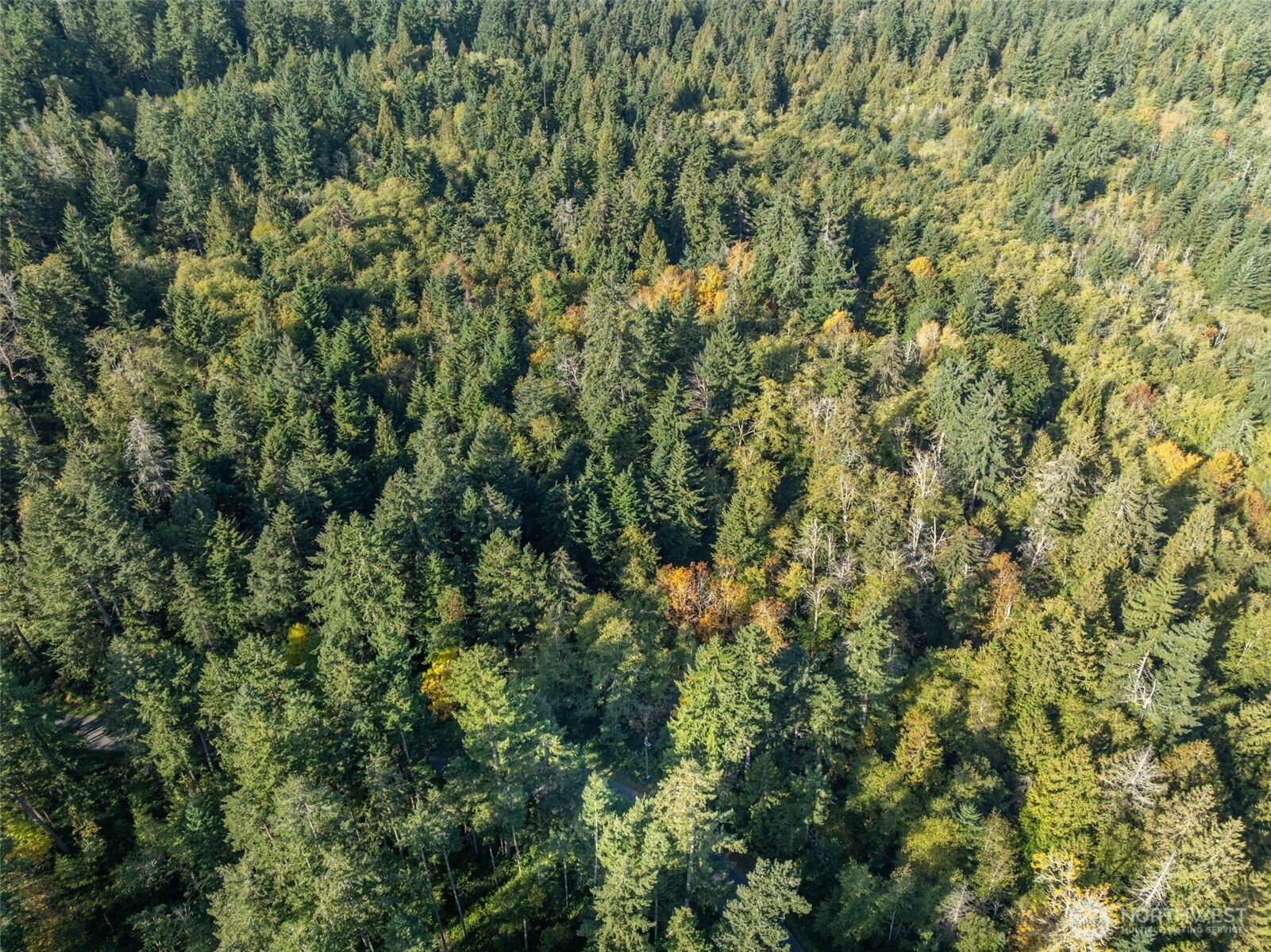 1 Yoman Road Anderson Island WA 98303