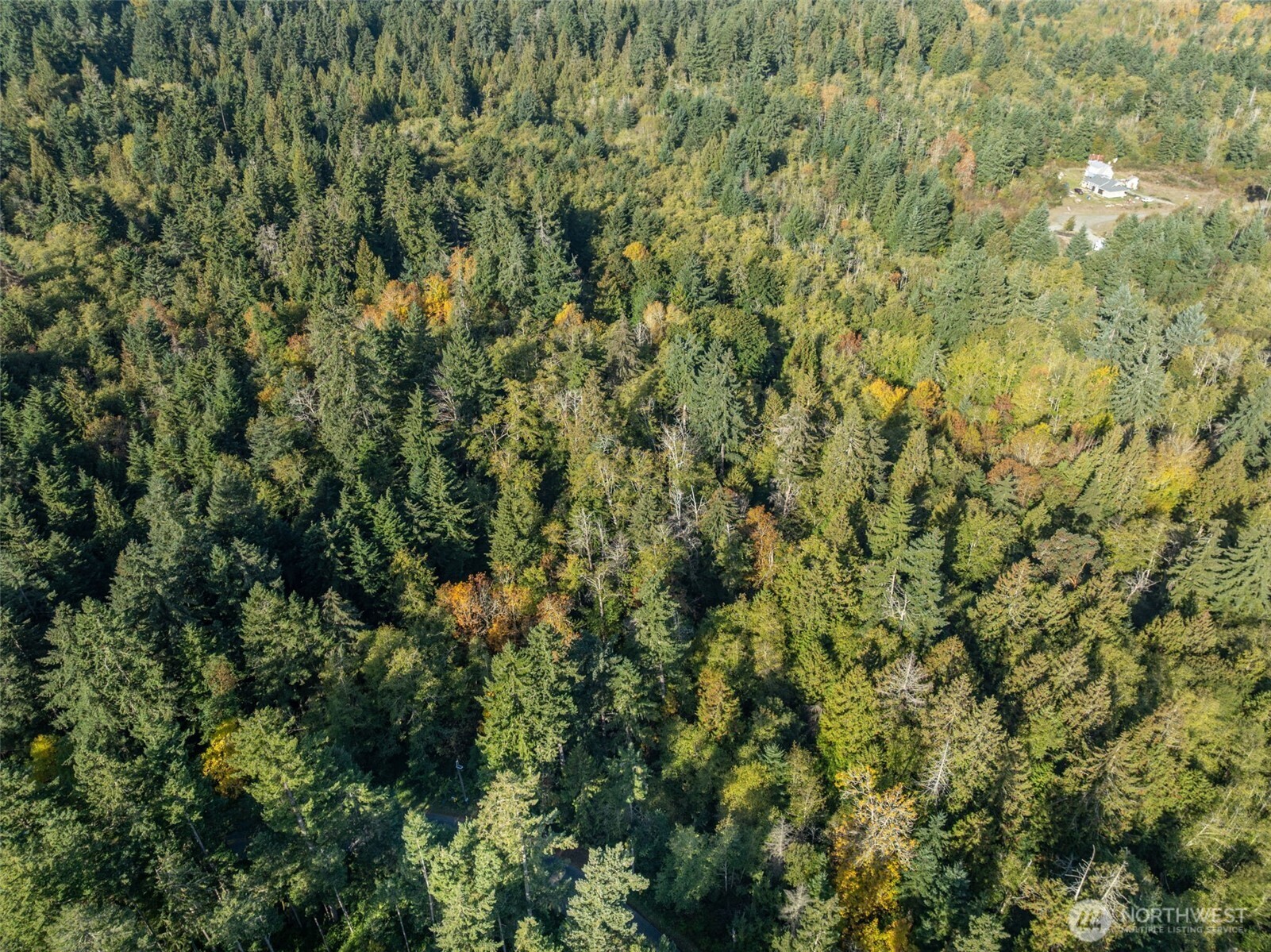 1 Yoman Road Anderson Island WA 98303