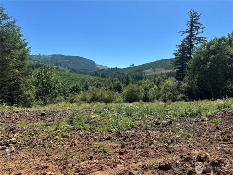 0 Kalama River Road Kalama WA 98625