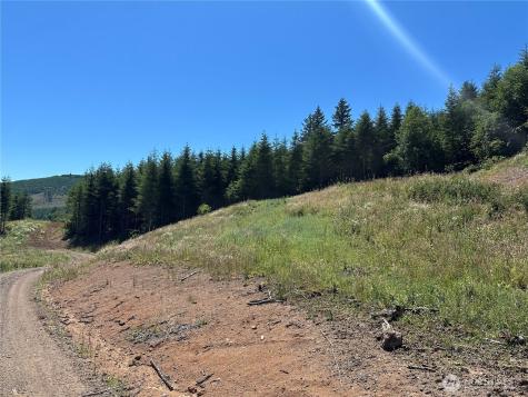 0 Kalama River Road Kalama WA 98625