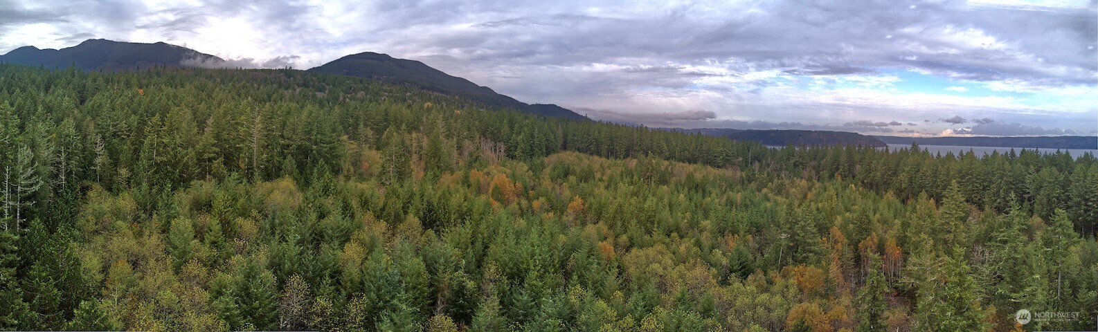 50 Point Whitney Road Brinnon WA 98320