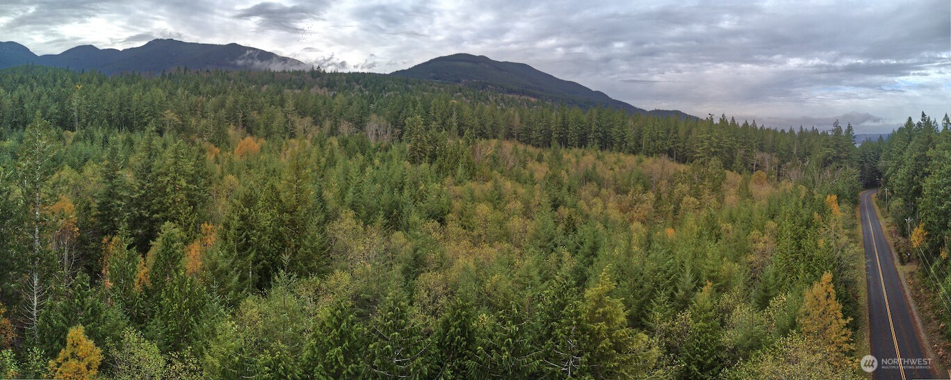 50 Point Whitney Road Brinnon WA 98320