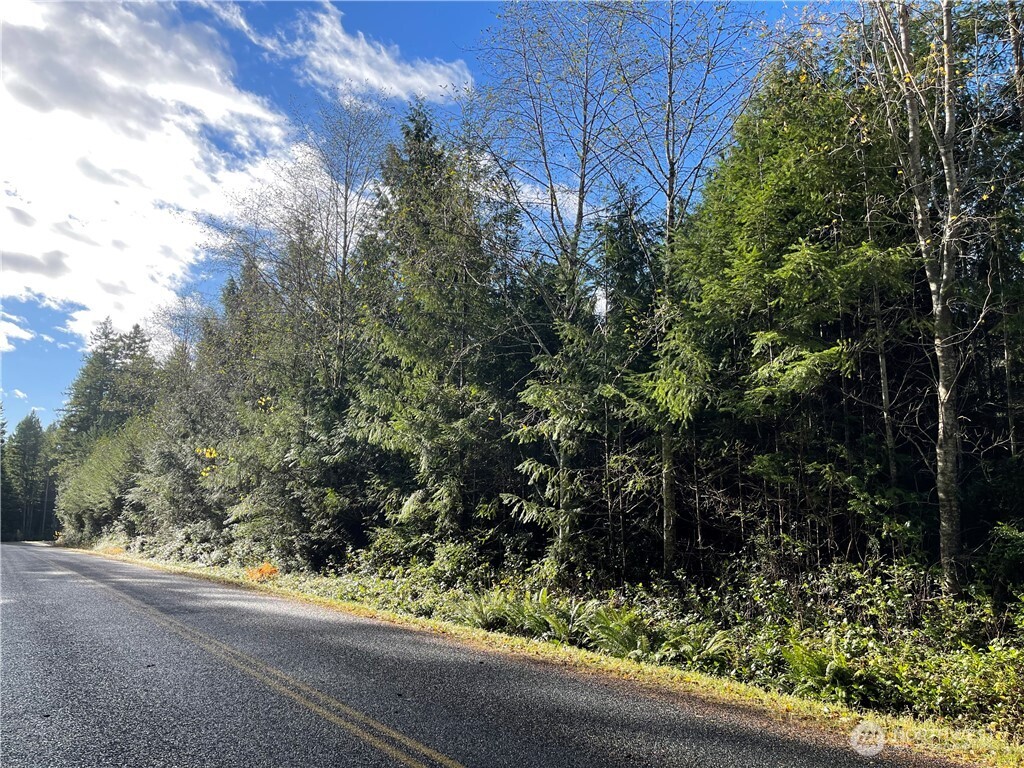 50 Point Whitney Road Brinnon WA 98320