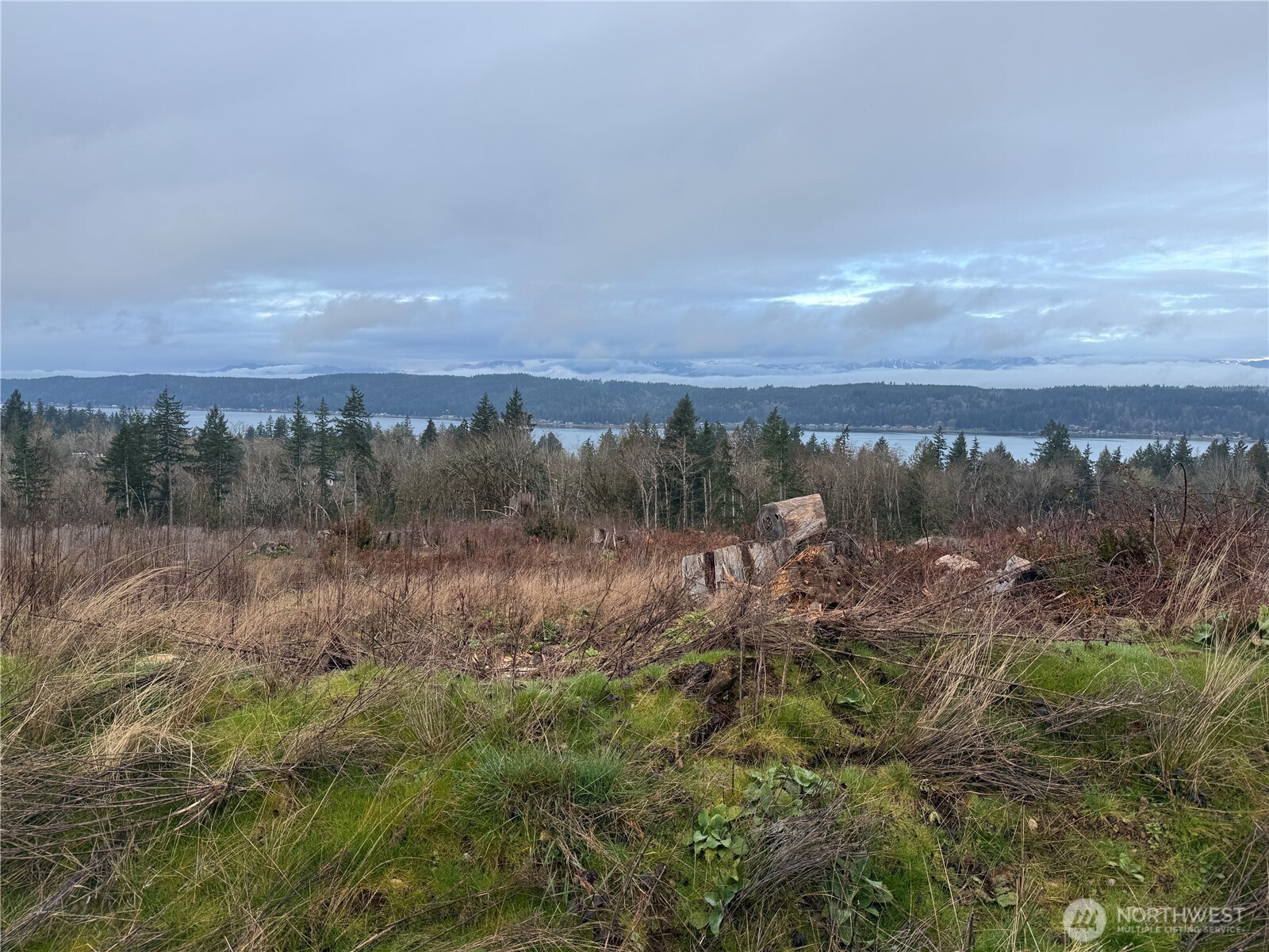 11 Rimstone Loop Belfair WA 98528