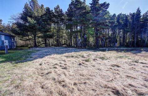 29908 H Street Ocean Park WA 98640