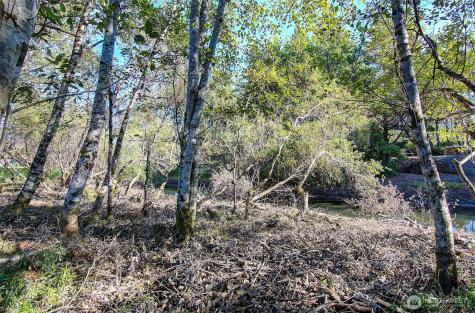 29908 H Street Ocean Park WA 98640