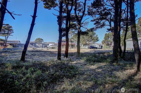 29908 H Street Ocean Park WA 98640