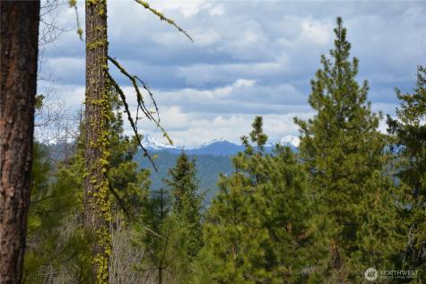 0 Sturgis Road Cle Elum WA 98922