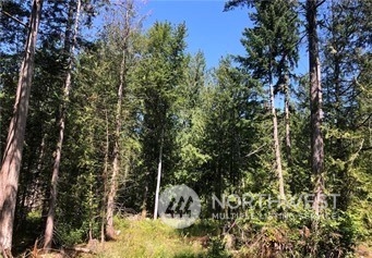 21800 70th Avenue E Spanaway WA 98387