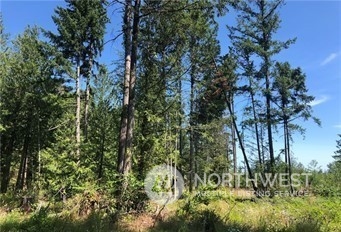21800 70th Avenue E Spanaway WA 98387