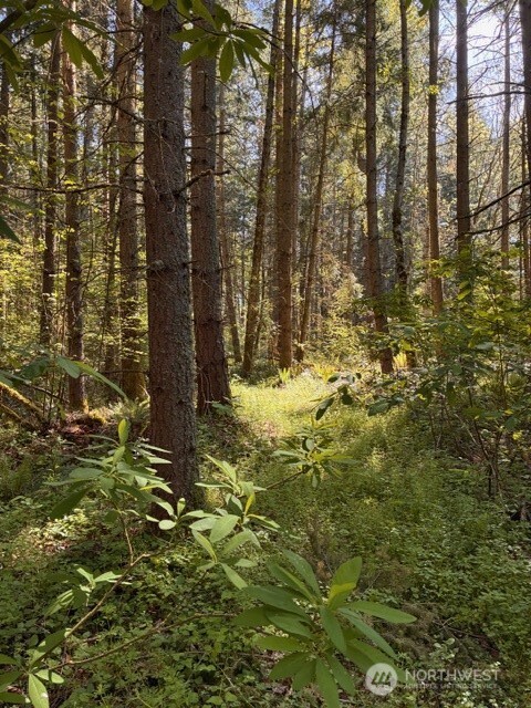 0 Chuckawa Lane SW Yelm WA 98597