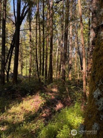 0 Chuckawa Lane SW Yelm WA 98597