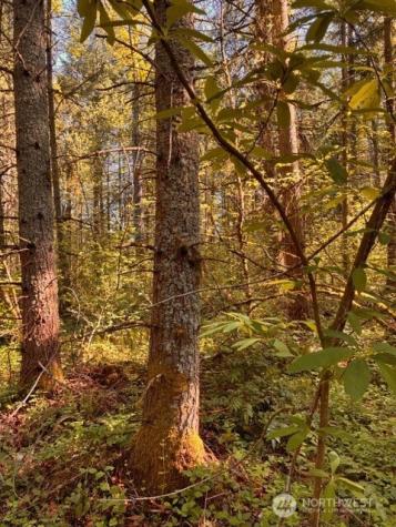 0 Chuckawa Lane SW Yelm WA 98597