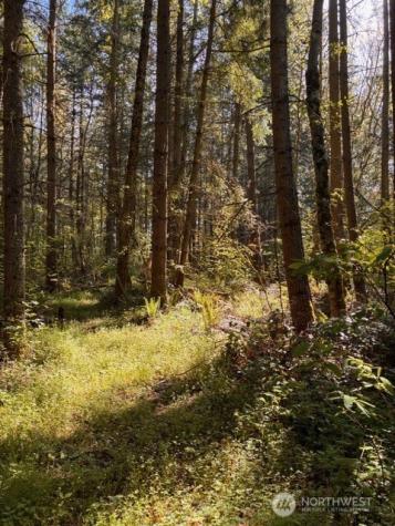 0 Chuckawa Lane SW Yelm WA 98597