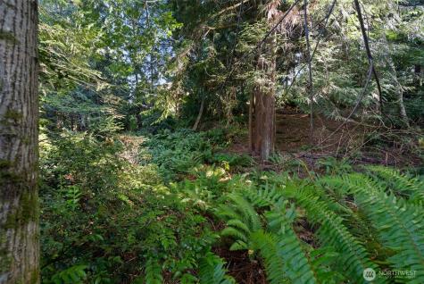 6560 NE Latyson Lane Bainbridge Island WA 98110