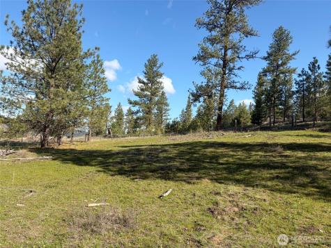 111 Fish Hatchery Road Republic WA 99166