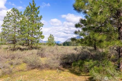 0 Wolf Creek Road Winthrop WA 98862