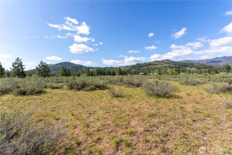 0 Wolf Creek Road Winthrop WA 98862