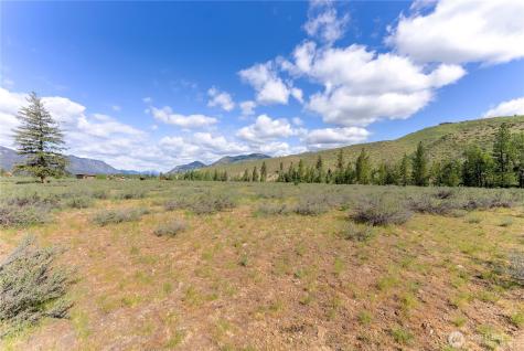 0 Wolf Creek Road Winthrop WA 98862