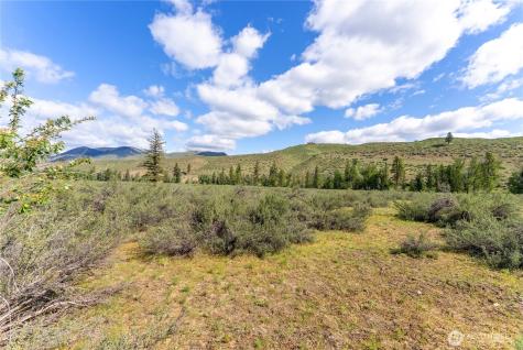 0 Wolf Creek Road Winthrop WA 98862
