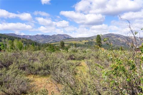 0 Wolf Creek Road Winthrop WA 98862