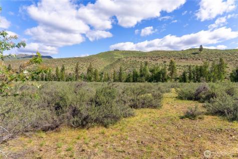 0 Wolf Creek Road Winthrop WA 98862