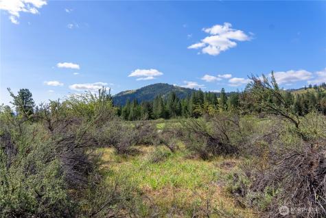 0 Wolf Creek Road Winthrop WA 98862