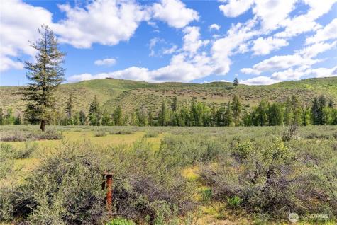 0 Wolf Creek Road Winthrop WA 98862