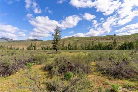 0 Wolf Creek Road Winthrop WA 98862