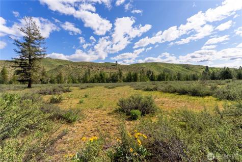 0 Wolf Creek Road Winthrop WA 98862