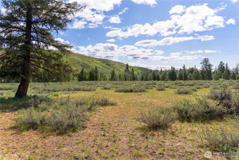 0 Wolf Creek Road Winthrop WA 98862