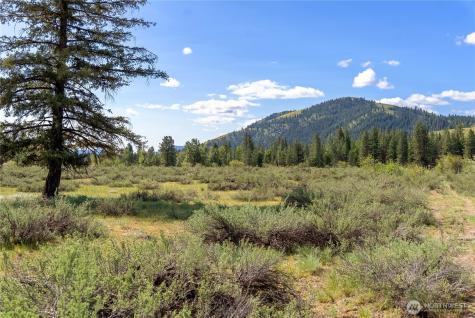 0 Wolf Creek Road Winthrop WA 98862