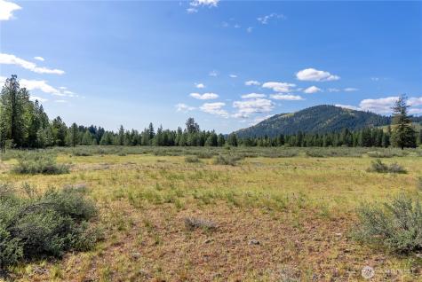 0 Wolf Creek Road Winthrop WA 98862