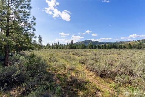 0 Wolf Creek Road Winthrop WA 98862
