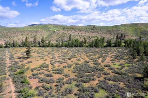 0 Wolf Creek Road Winthrop WA 98862