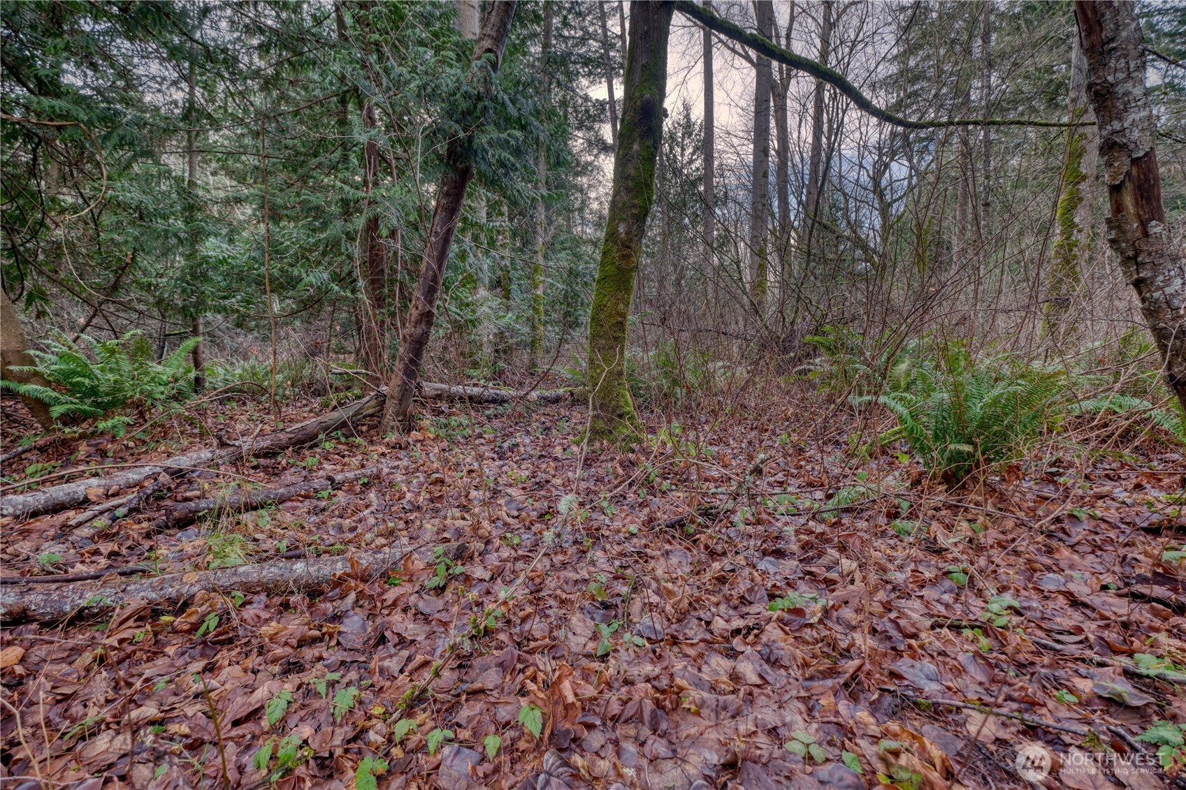 0 Tyee Drive Point Roberts WA 98281